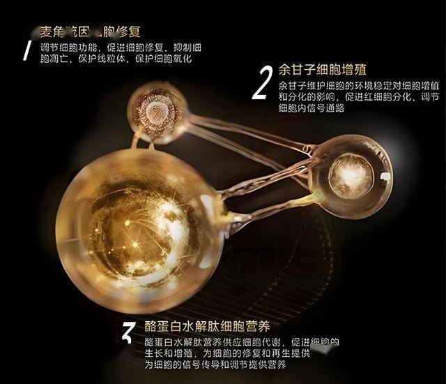 ex外汇平台官网网址量化交易对股市的作用，将来市场将何去何从？